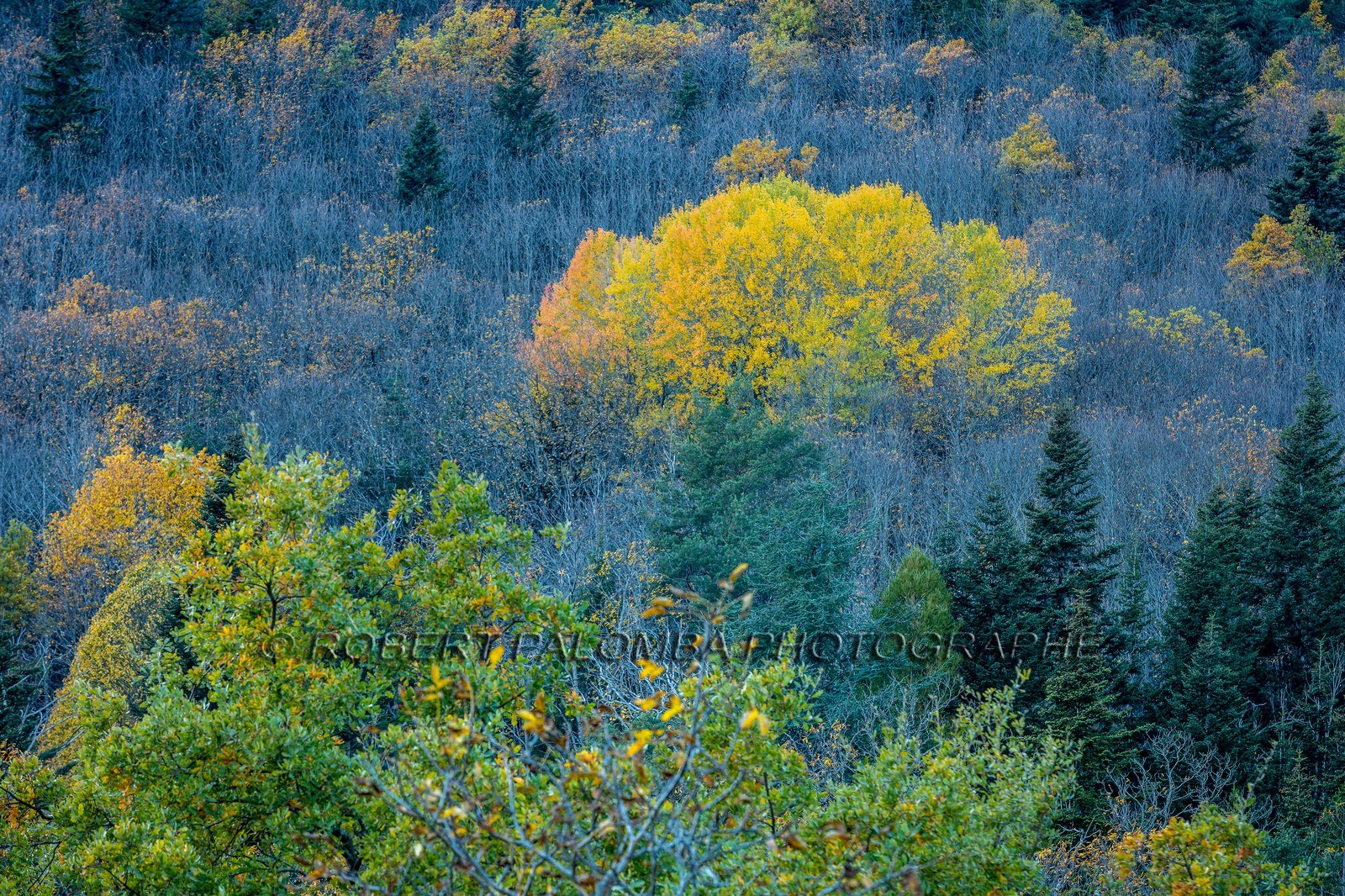 Granges de la Brasque