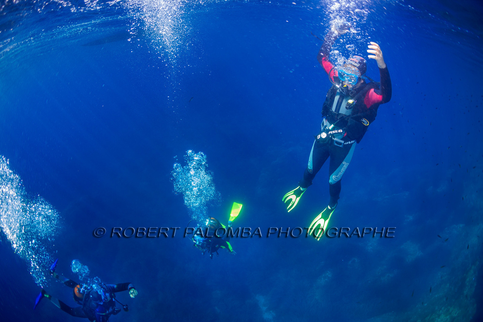 Plongée-sous-marine