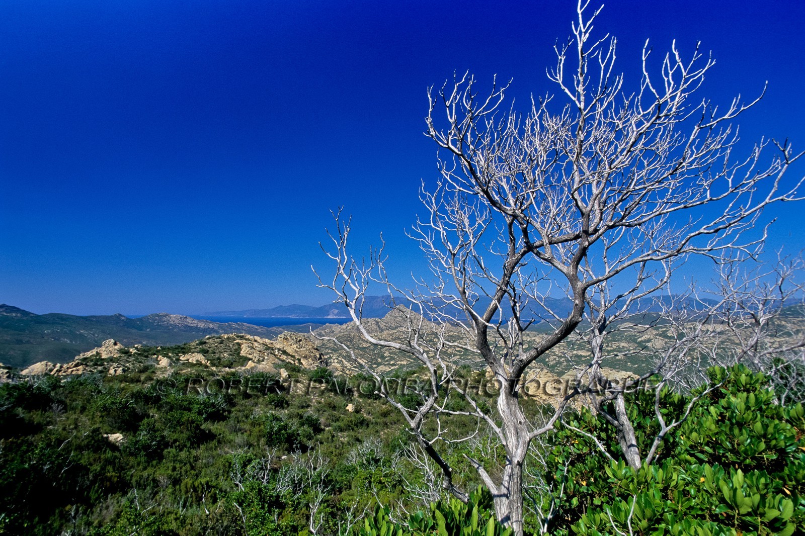 Désert des Agriates