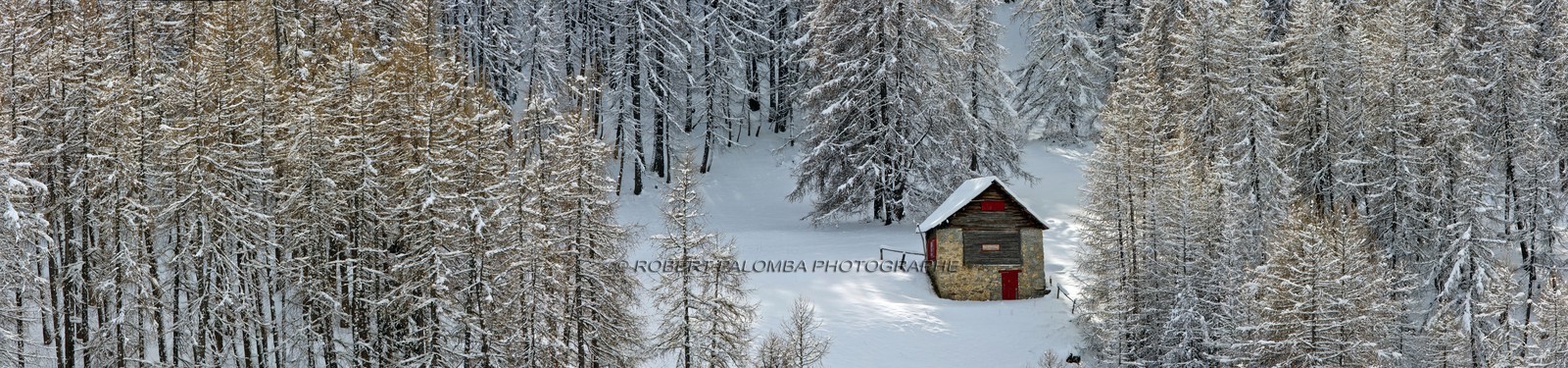 Chalet sous la neige