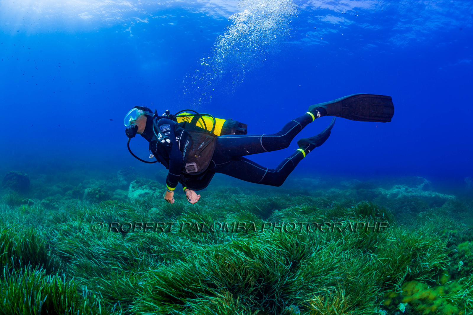 Plongée-sous-marine