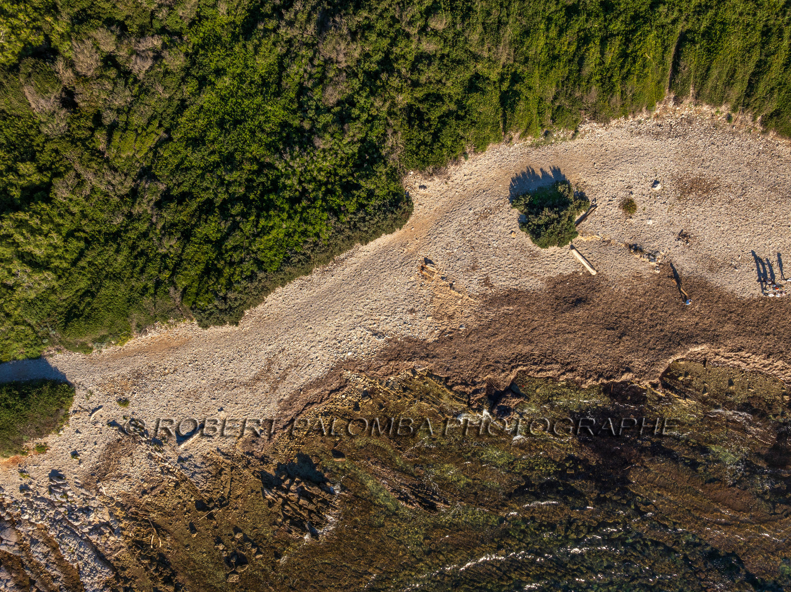 Lérins Sainte Marguerite 2024