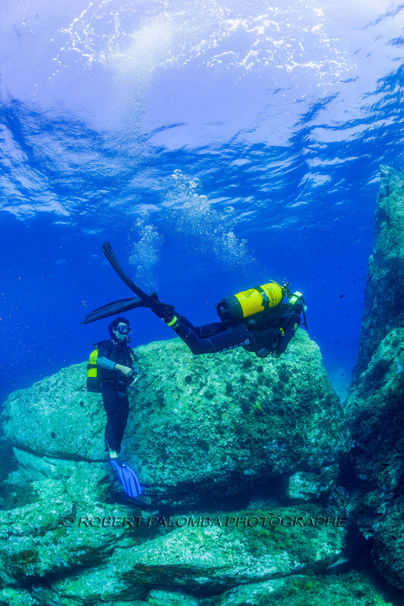 Plongée-sous-marine