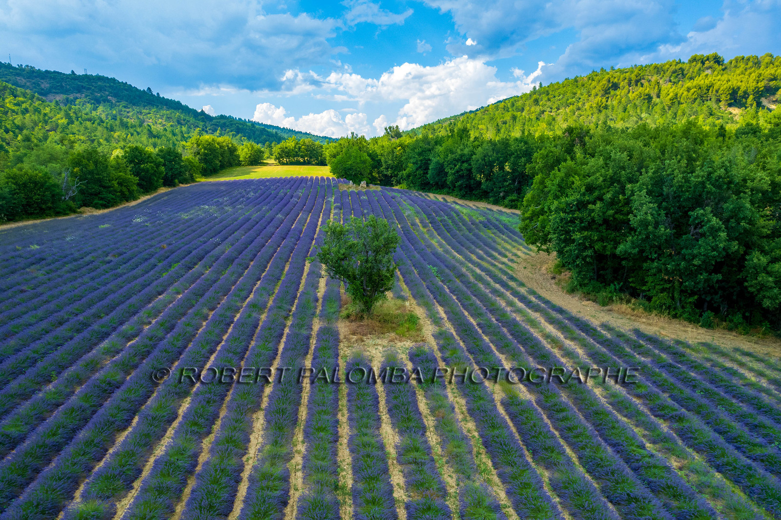 Le Chaffaut-Saint-Jurson