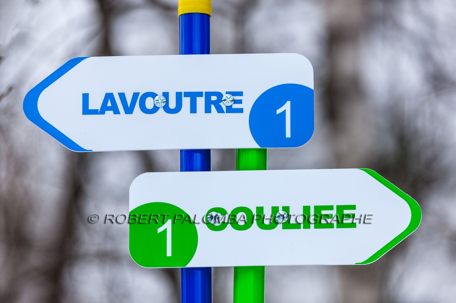 Saint-Dalmas-le-Selvage