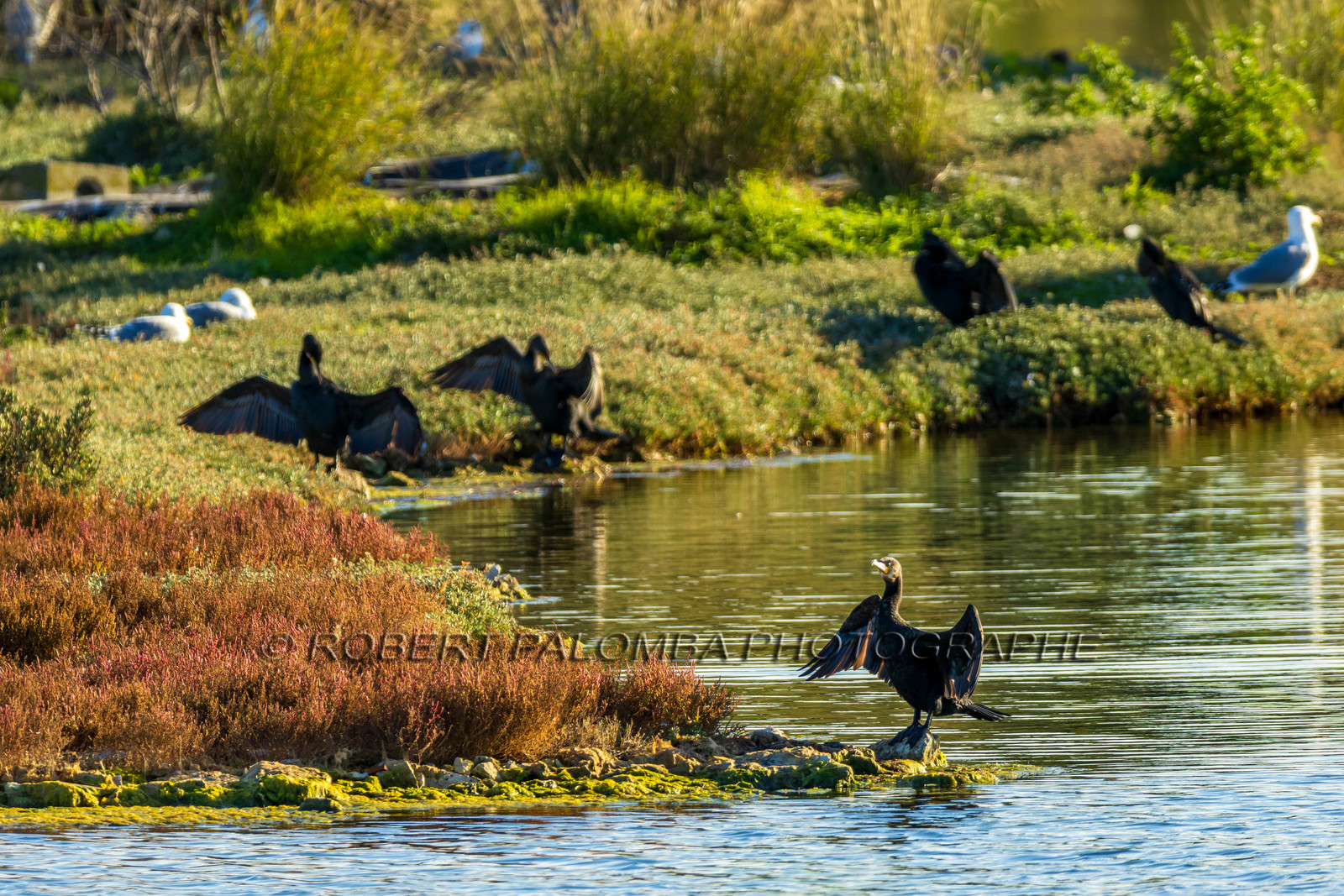 Lérins Sainte-Marguerite 2024