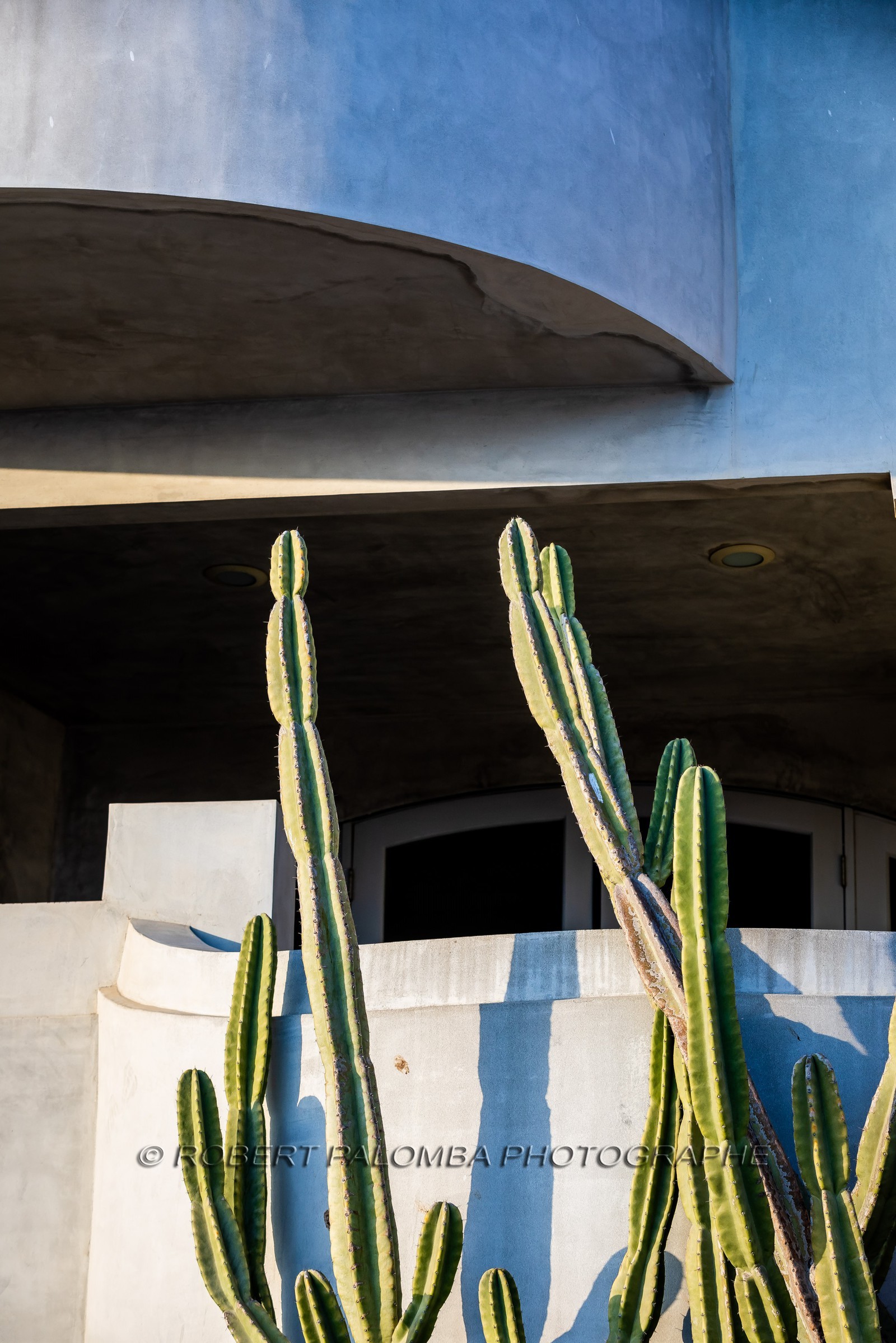 Etats-Unis, Californie-du-Sud, Los Angeles, Venice, Venice Beach