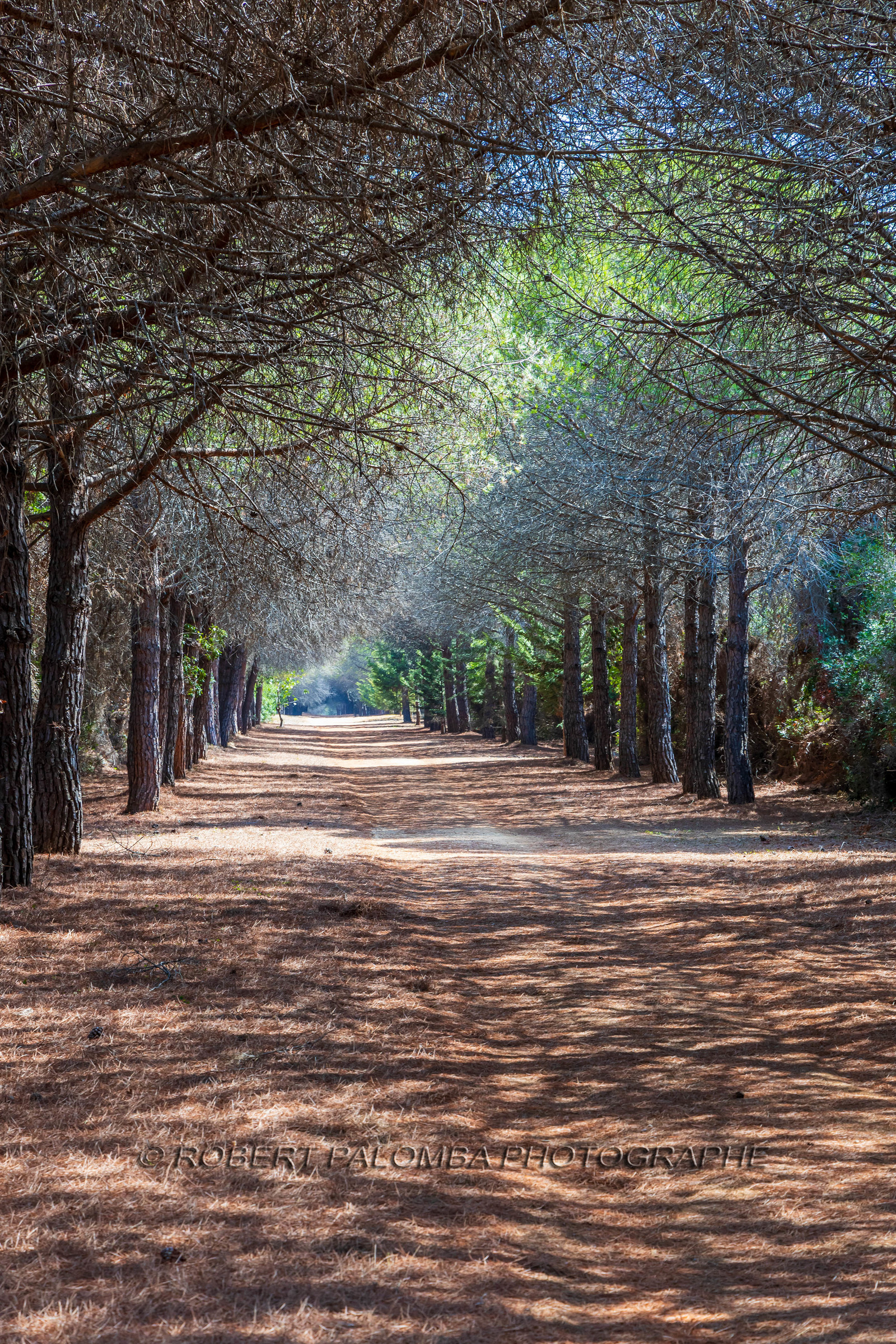Lérins Sainte-Marguerite 2023