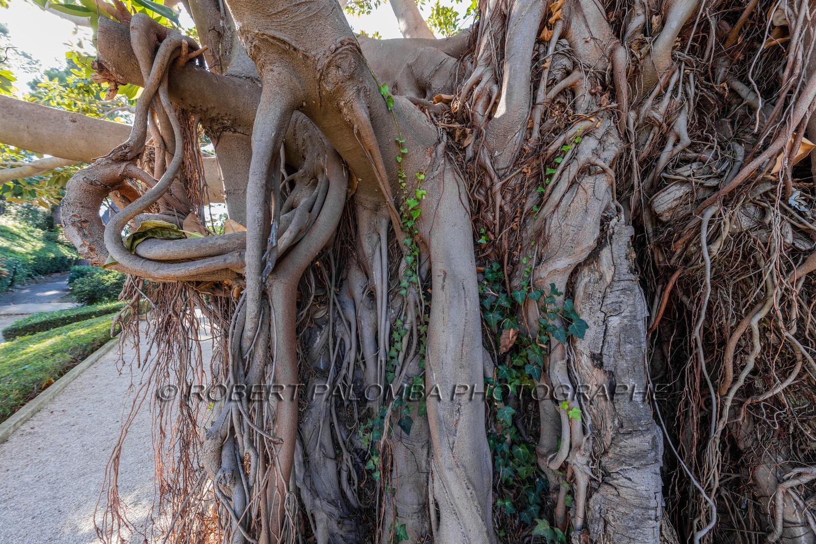 Saint-Jean-Cap-Ferrat