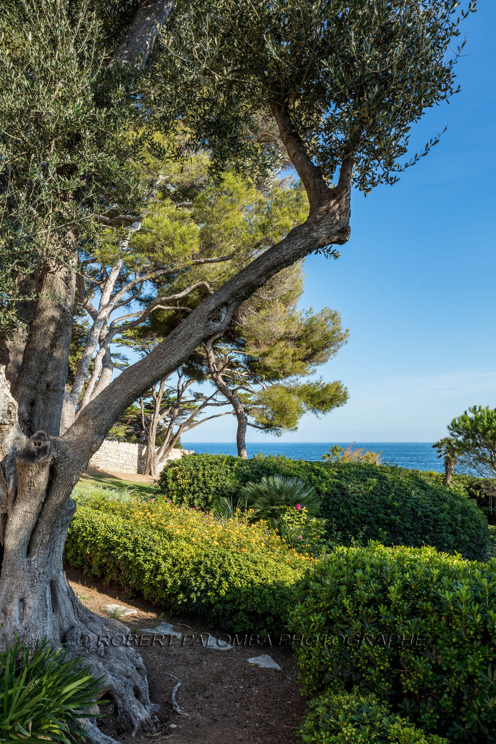 Saint-Jean-Cap-Ferrat