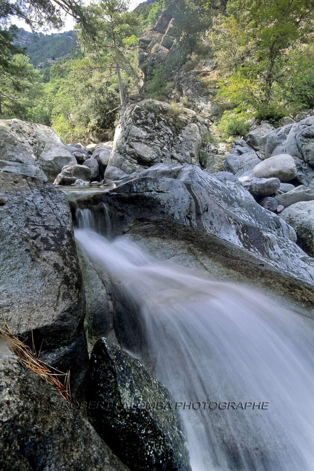 Torrent de Tartagine