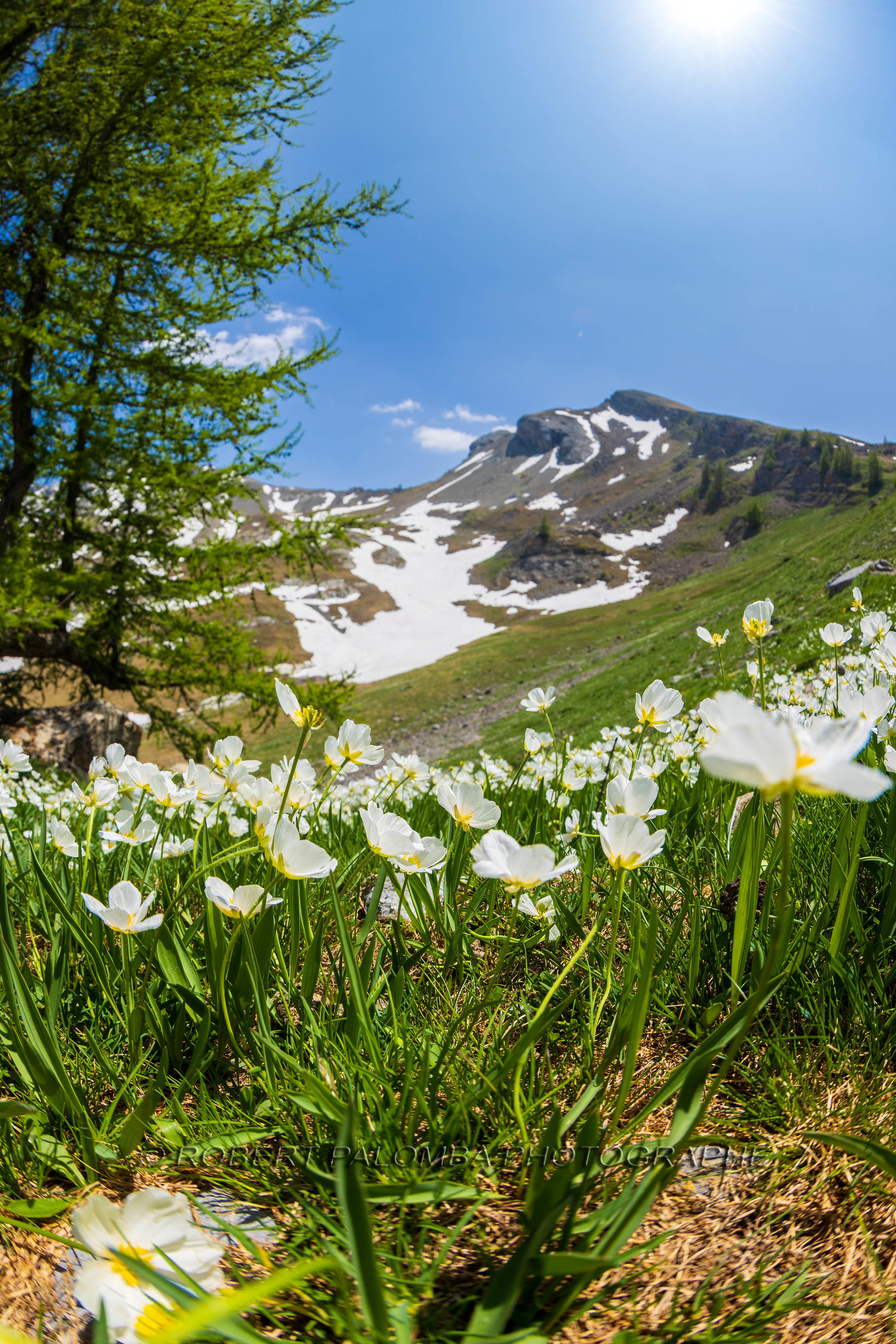 Lac d'Allos
