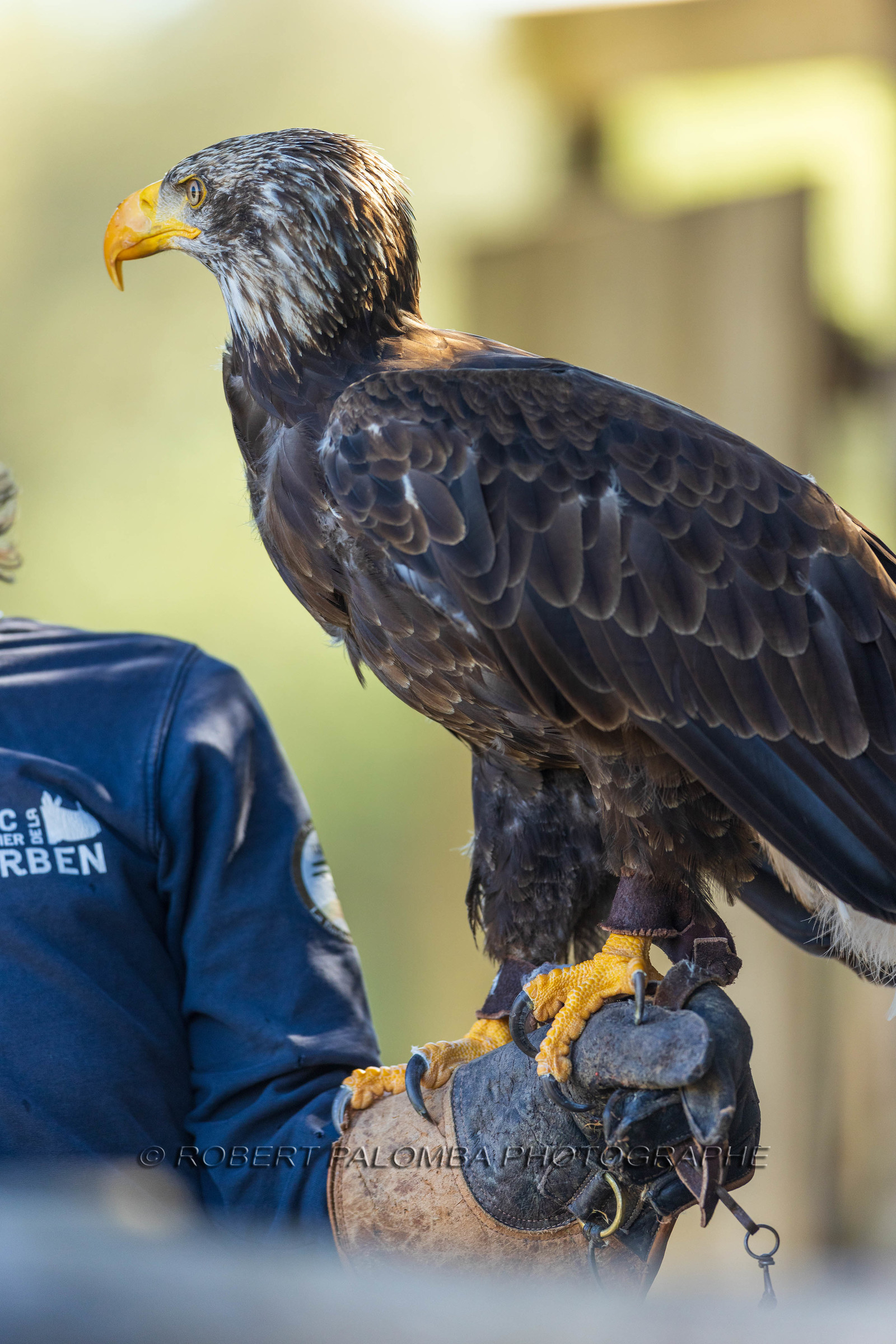 Parc animalier de la Barben