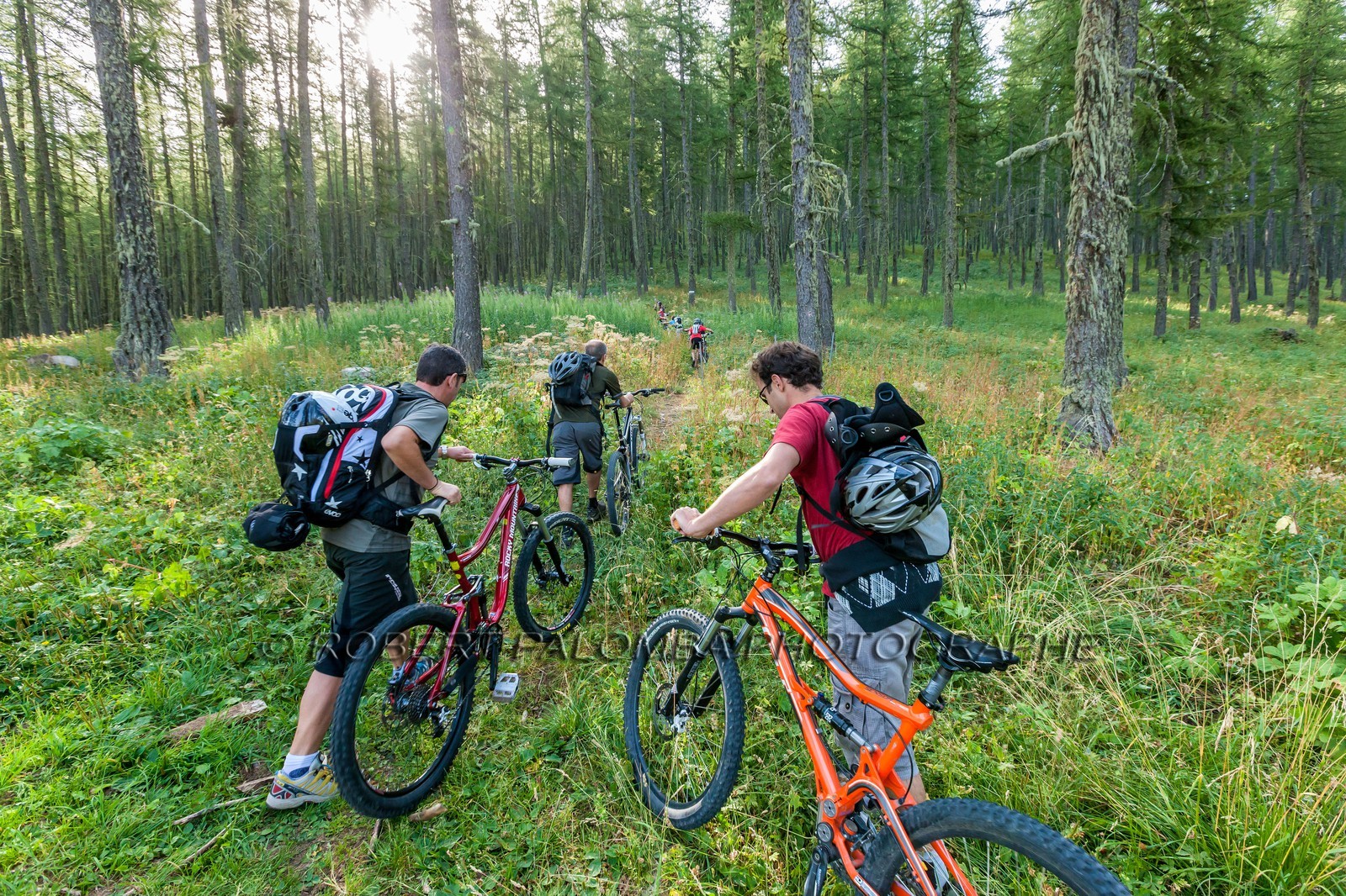 Rando Vtt Lacs de Lignin