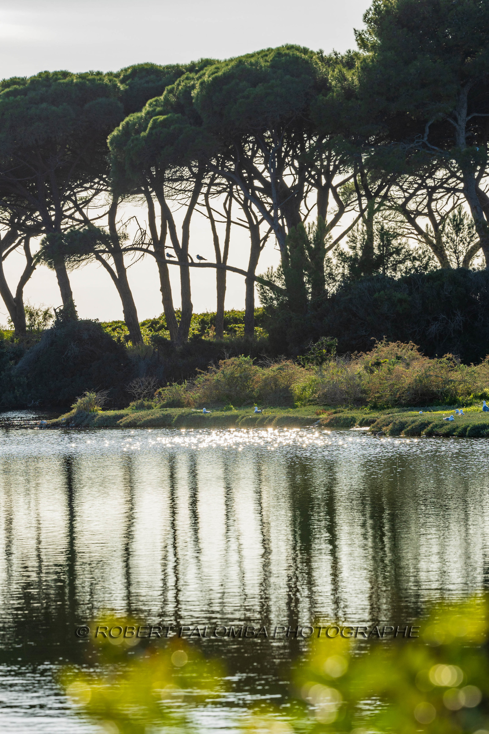 Lérins Sainte-Marguerite 2024