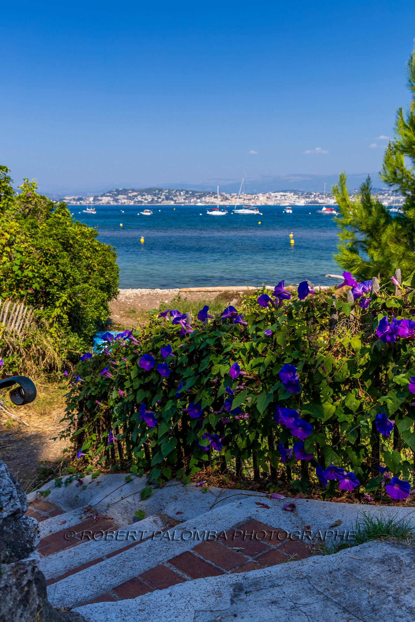 Lérins Sainte-Marguerite 2023