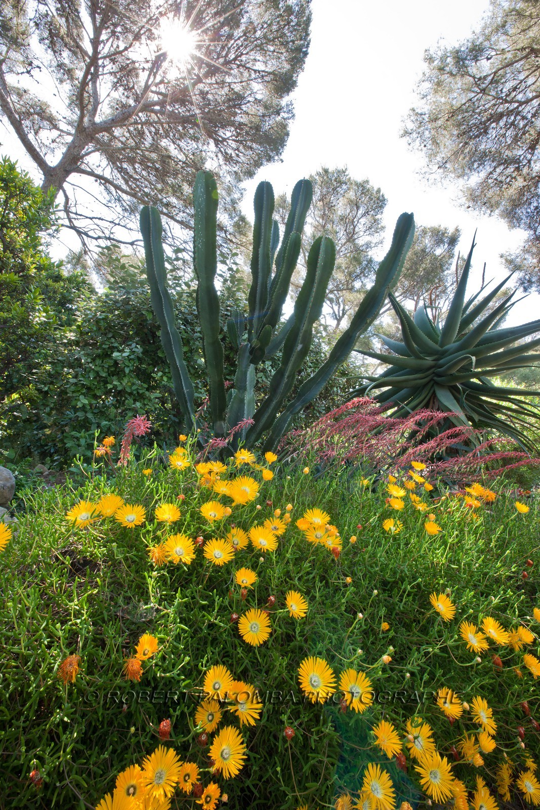 Villa et Jardins Ephrussi de Rothschild