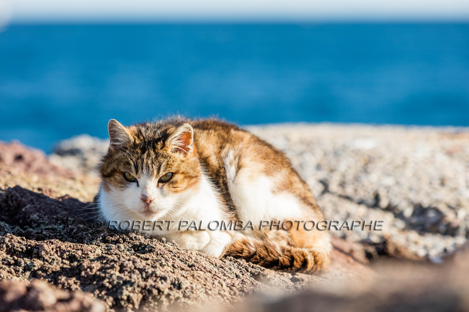 Mandelieu-la-Napoule