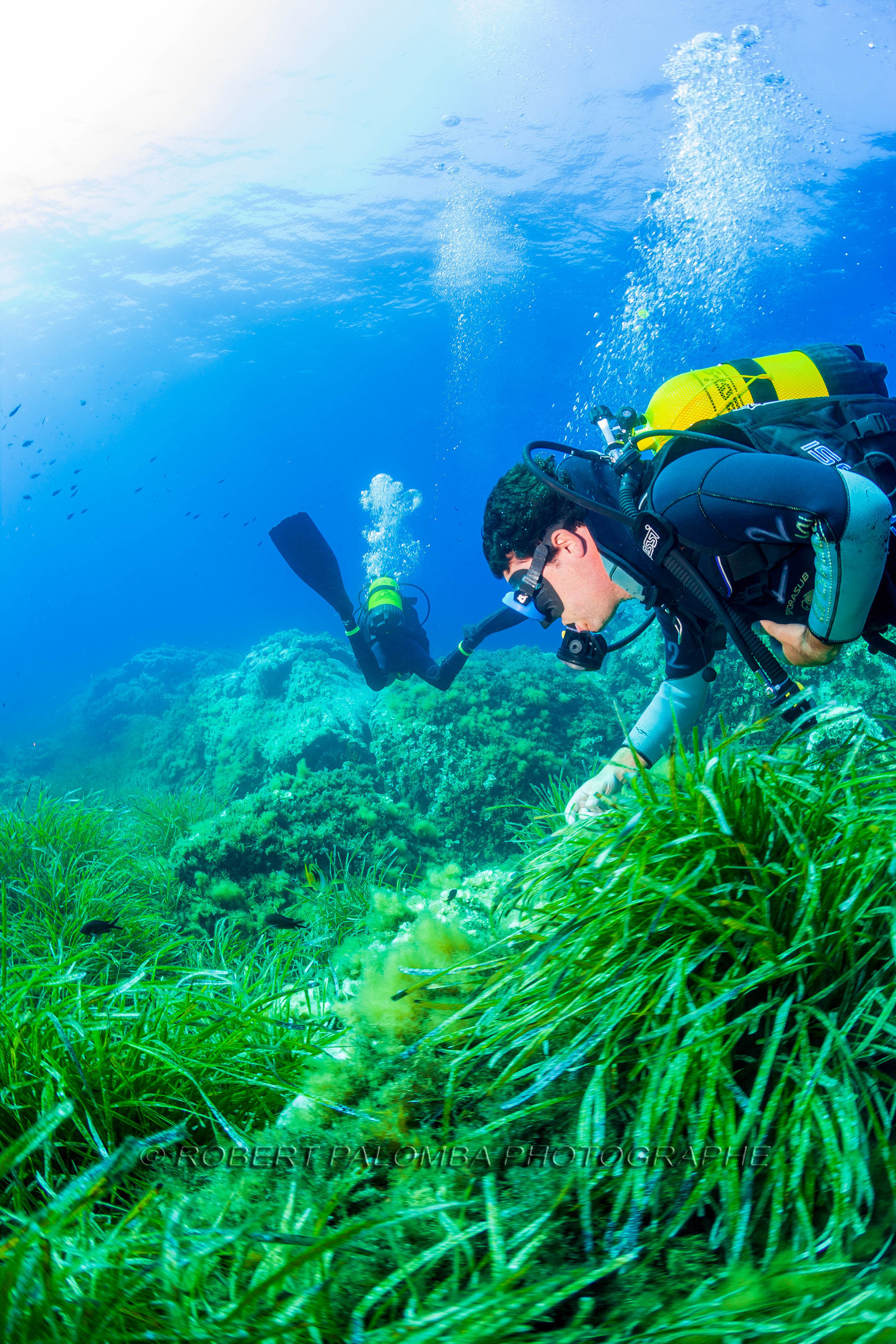 Plongée-sous-marine