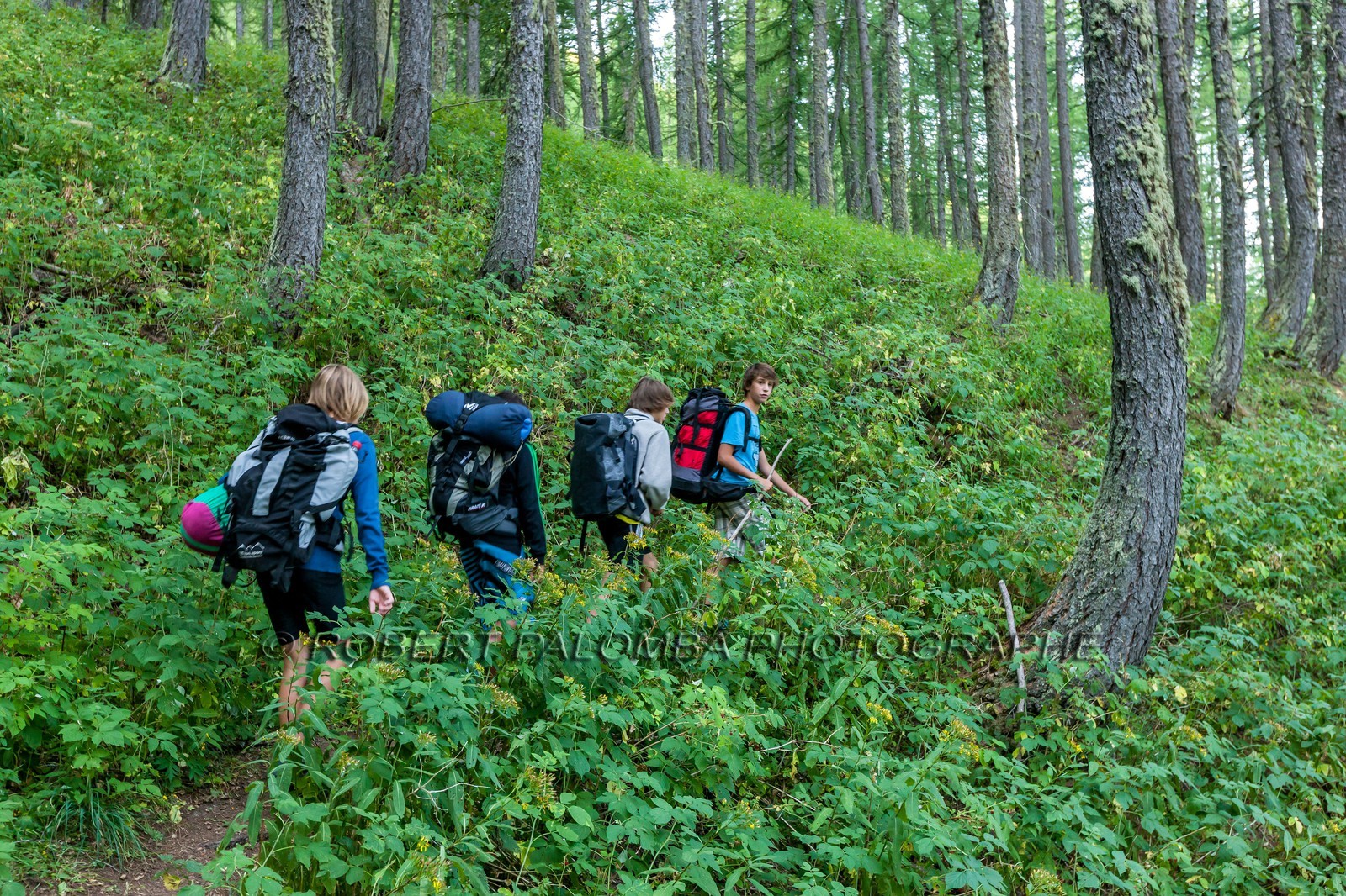 Rando Vtt Lacs de Lignin