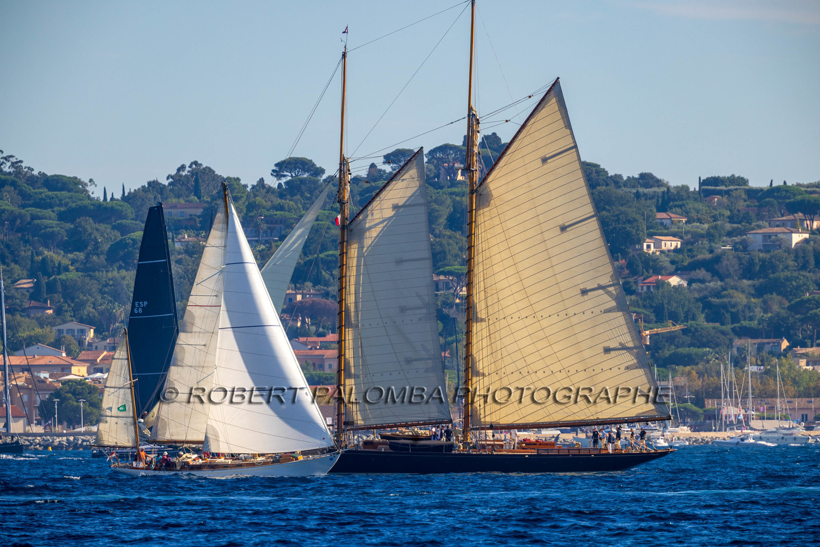 Les Voiles de Saint-Tropez