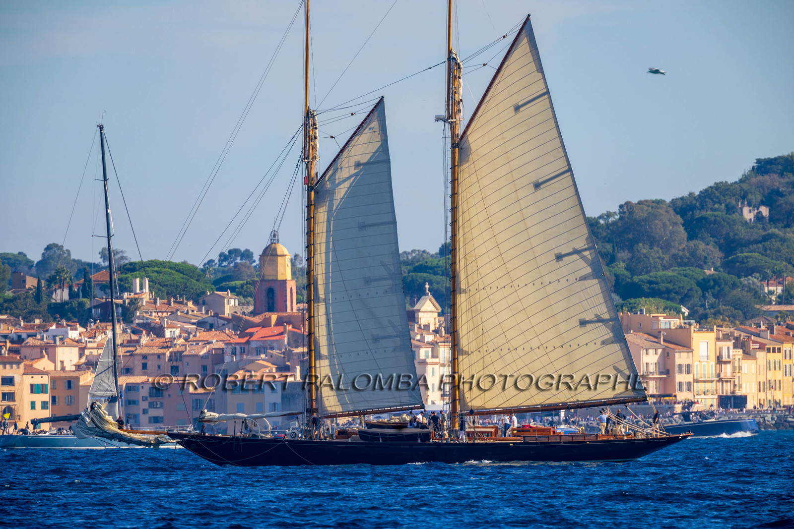 Les Voiles de Saint-Tropez