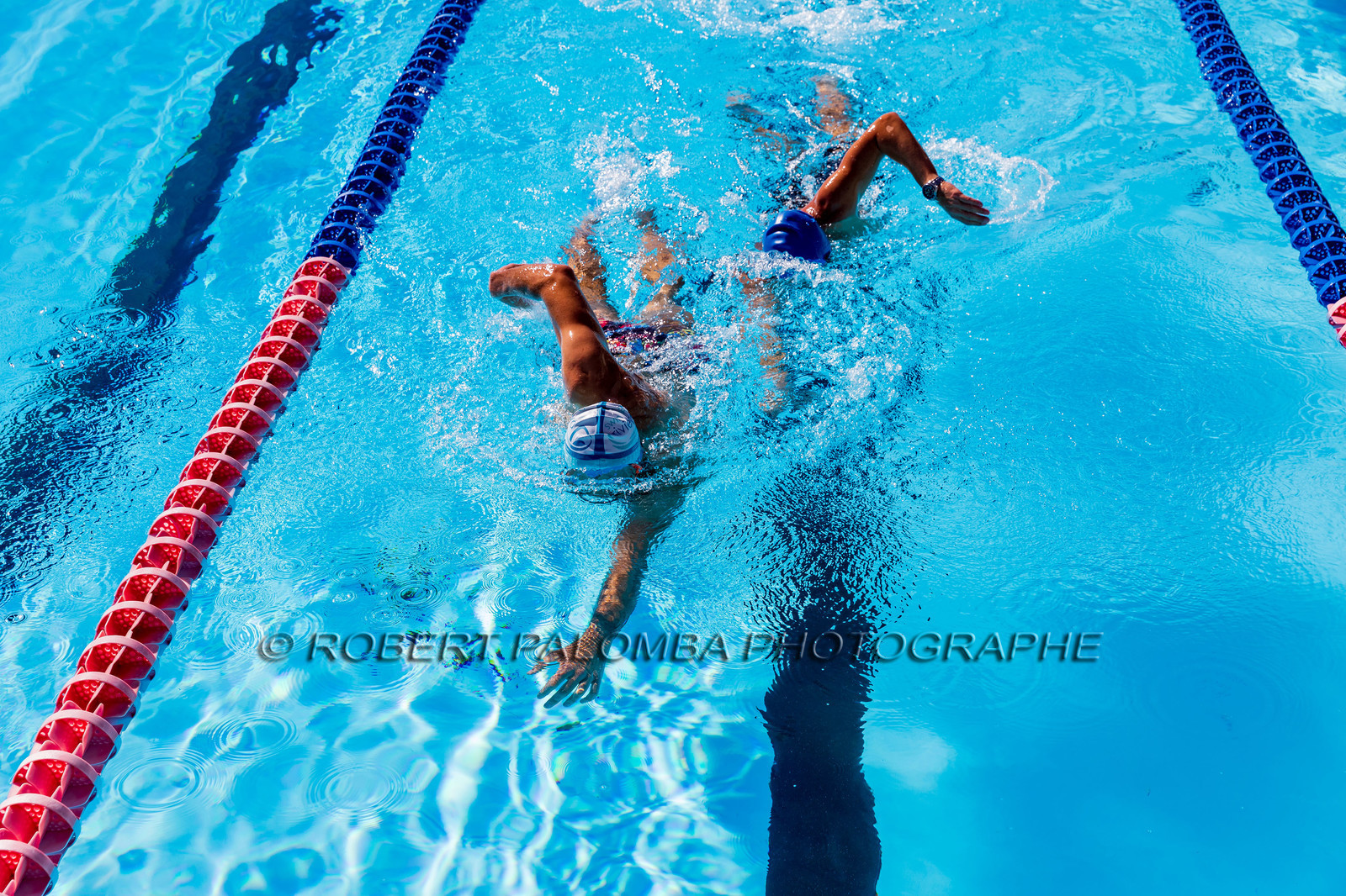 Natation