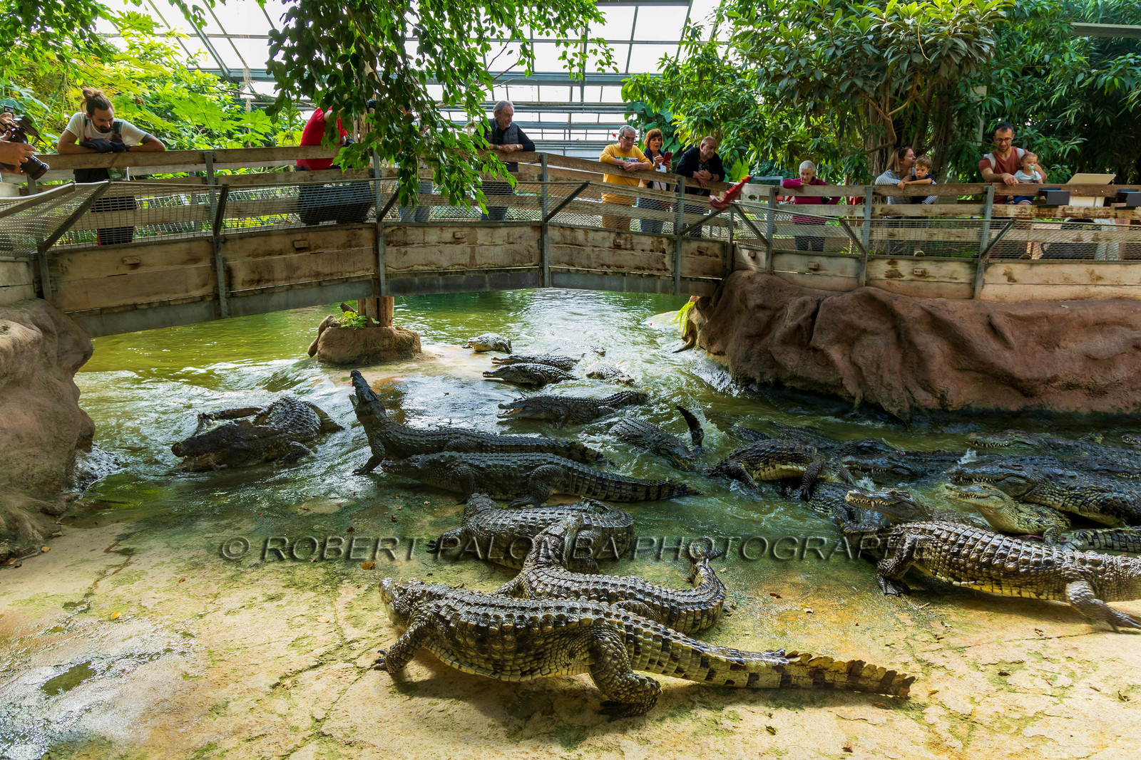 La Ferme aux crocodiles