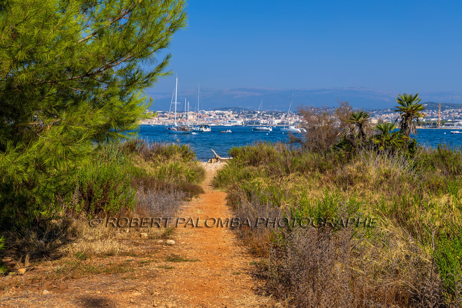 Lérins Sainte-Marguerite 2023