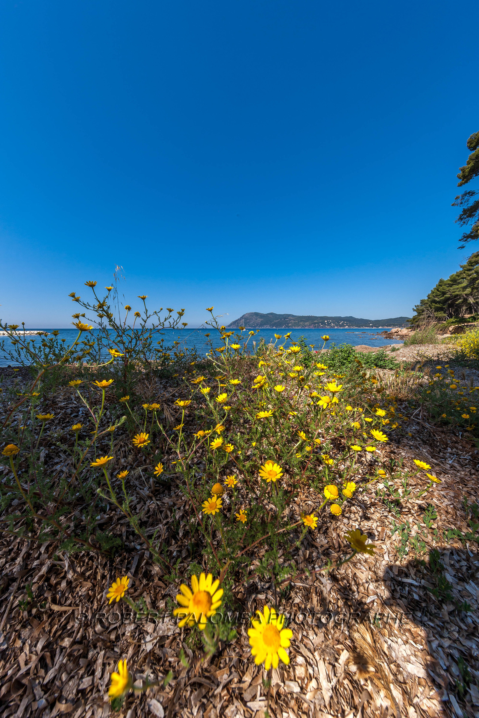 Saint-Mandrier-sur-Mer