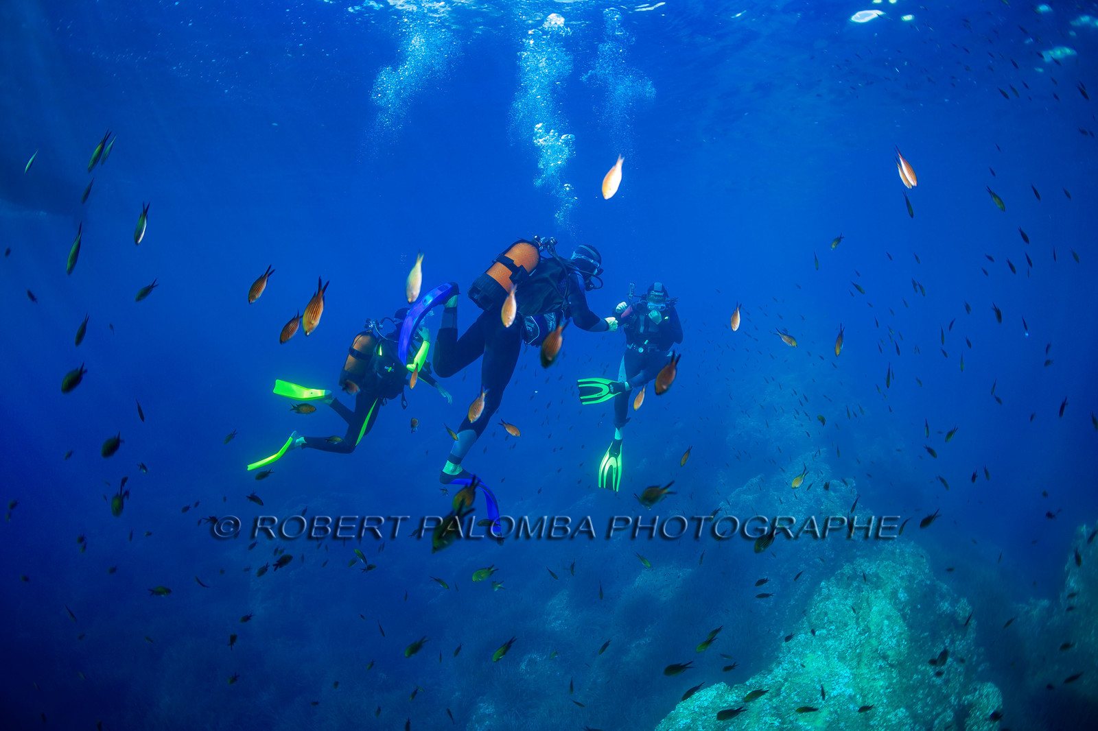 Plongée-sous-marine