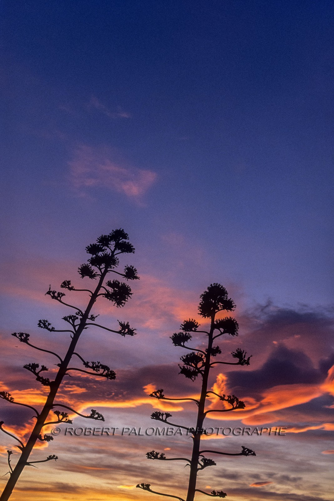 Nuages lenticulaires
