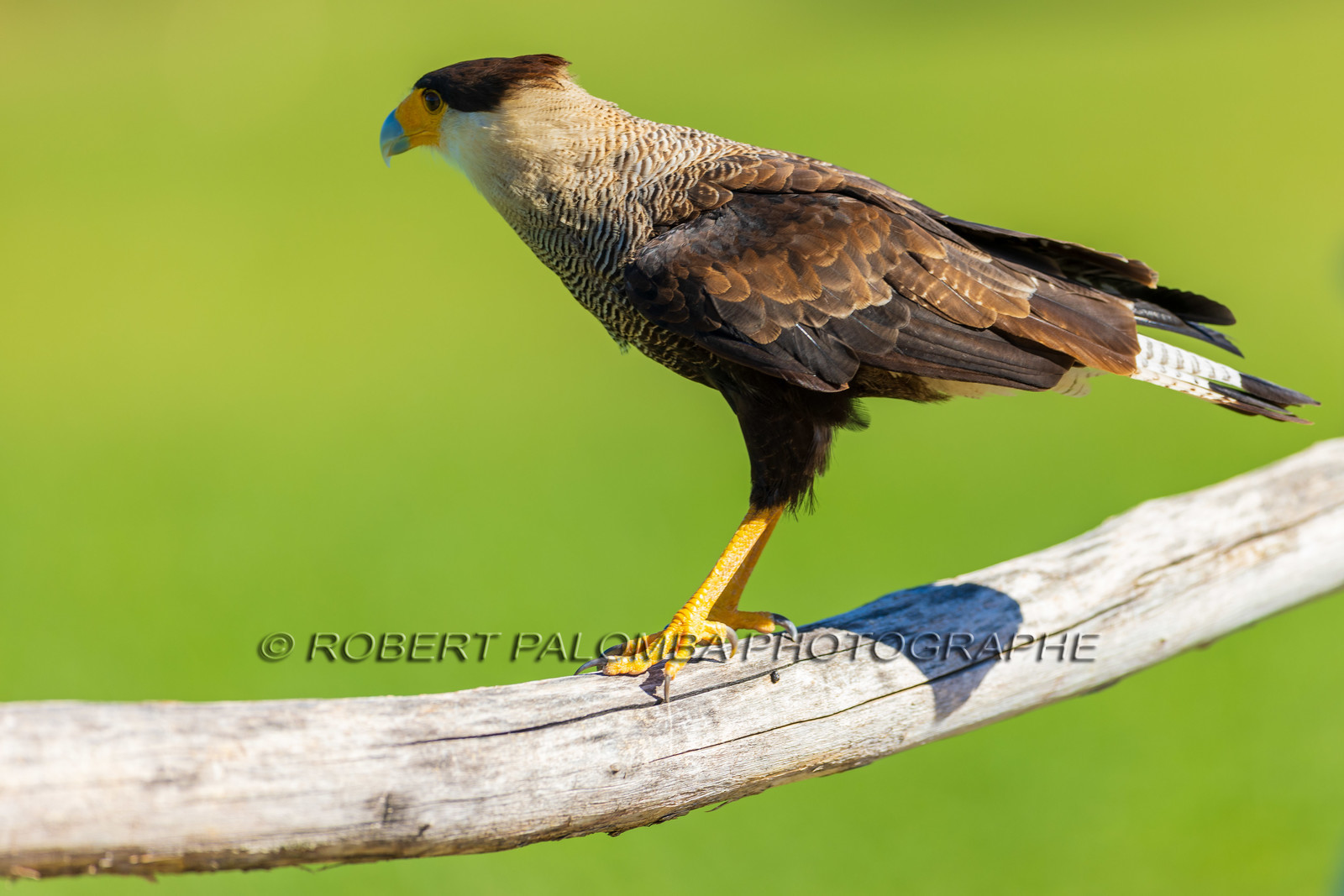 Parc animalier de la Barben