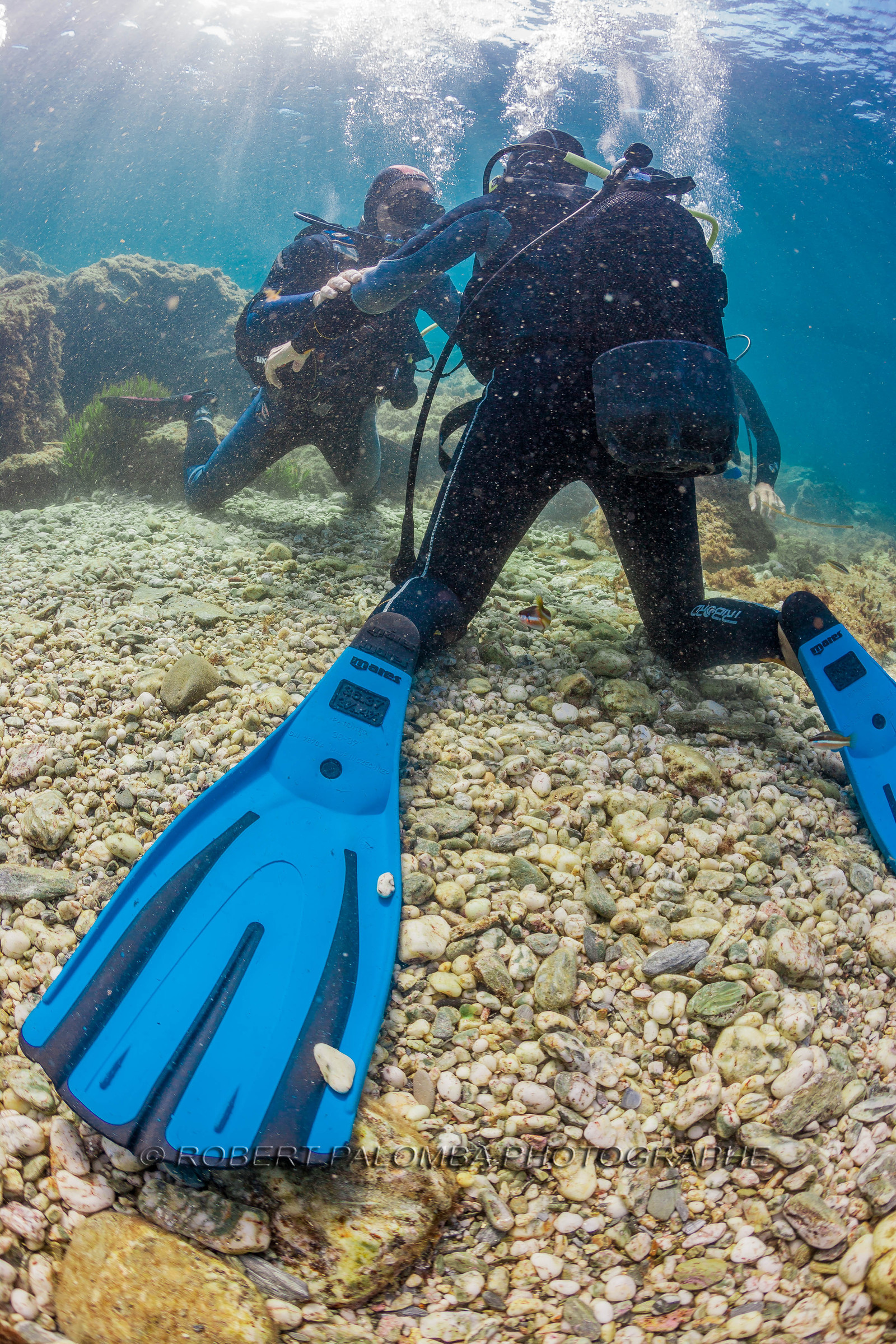 Plongée sous-marine
