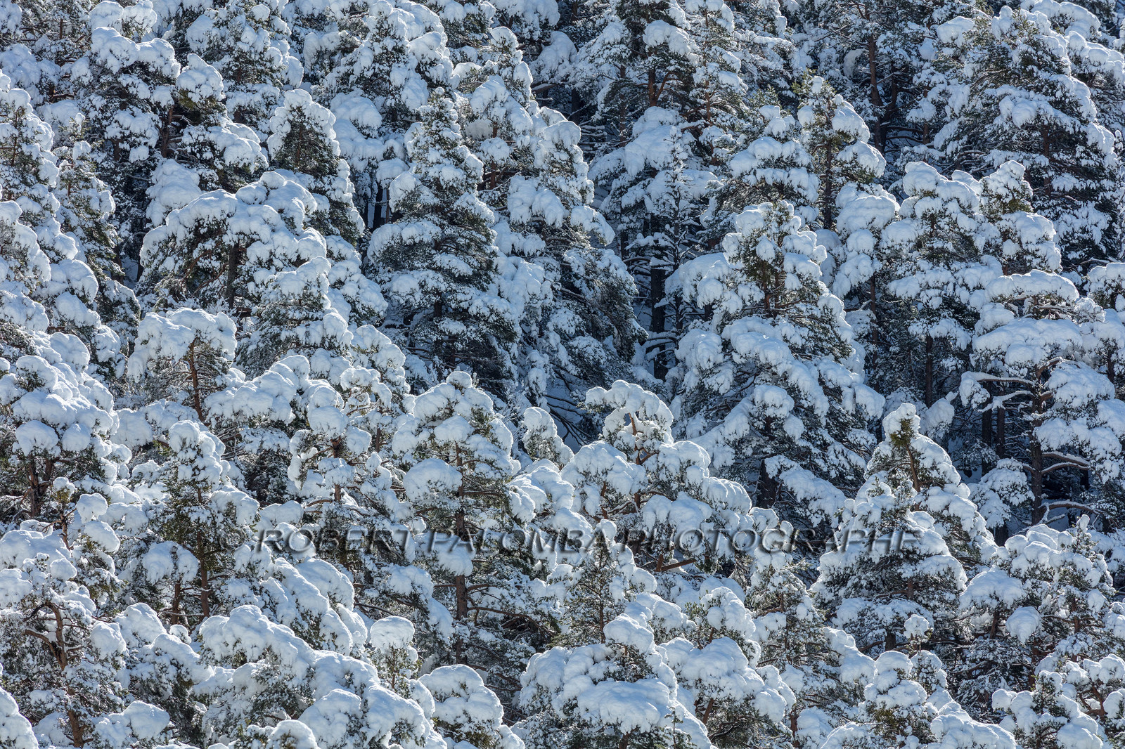 La Colle-Saint-Michel