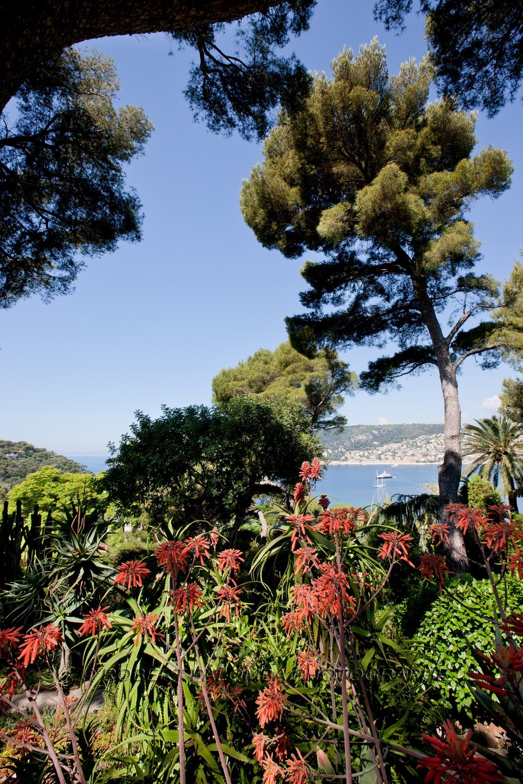 Villa et Jardins Ephrussi de Rothschild