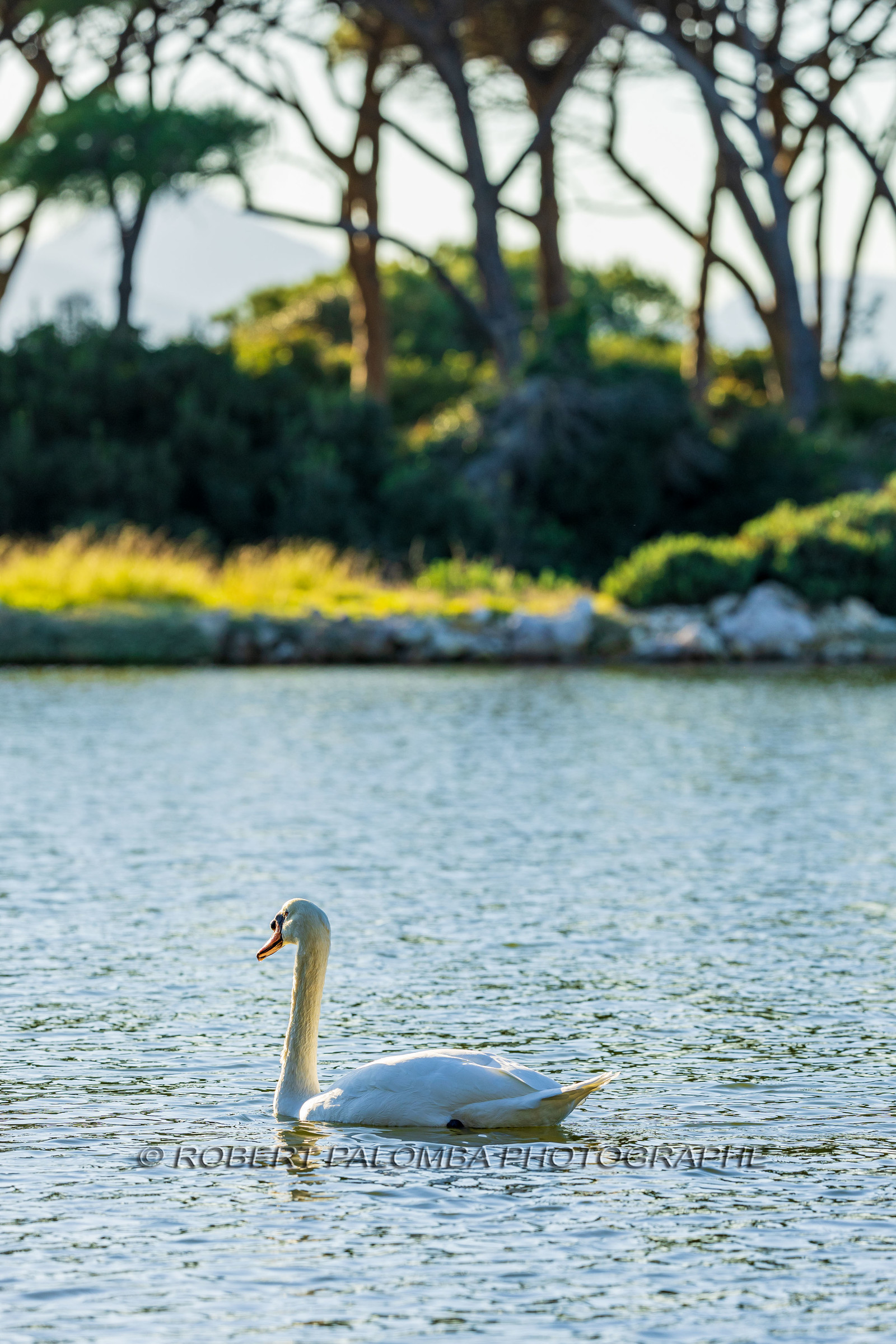 Lérins Sainte Marguerite 2024