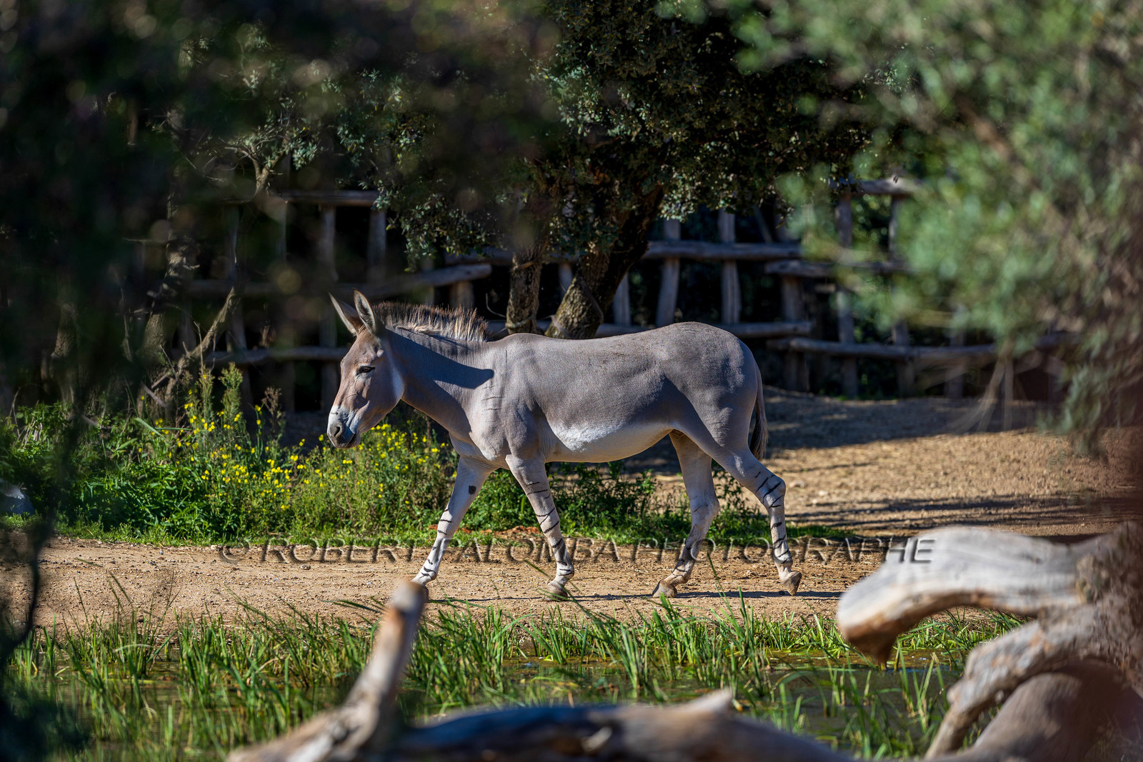 Parc animalier de la Barben