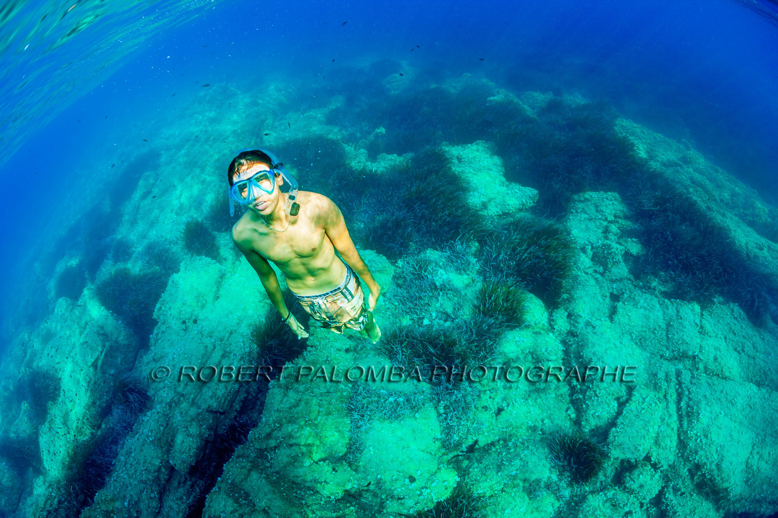 Plongée-sous-marine