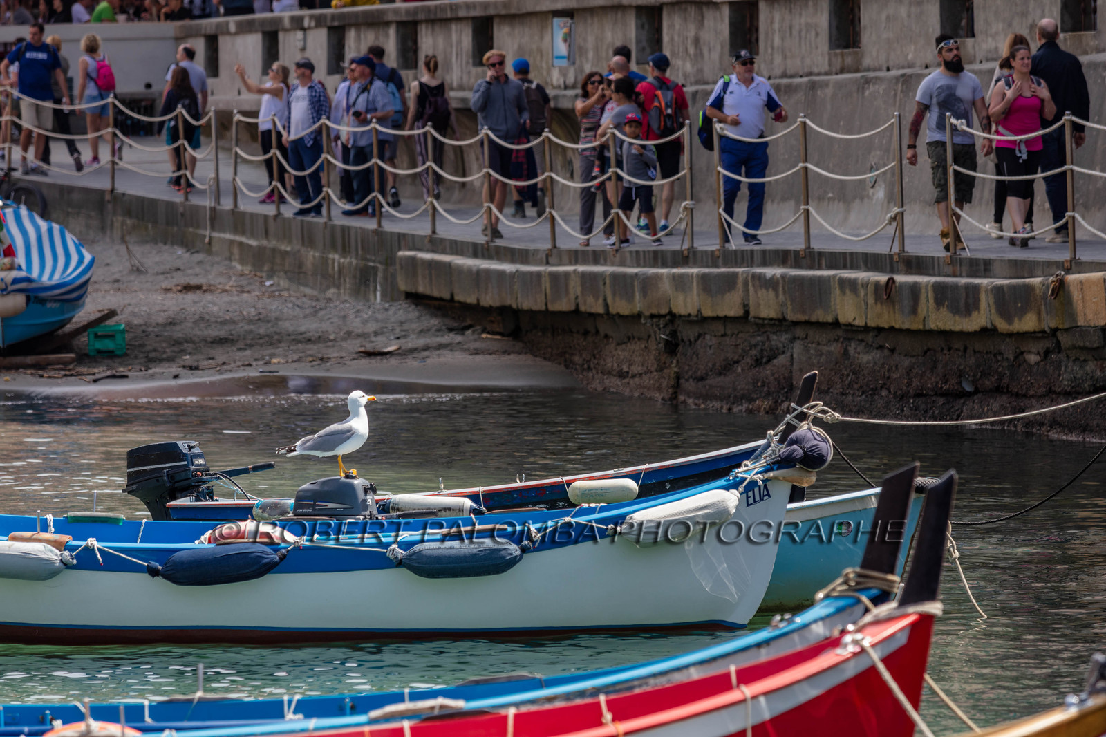 Cinque Terre