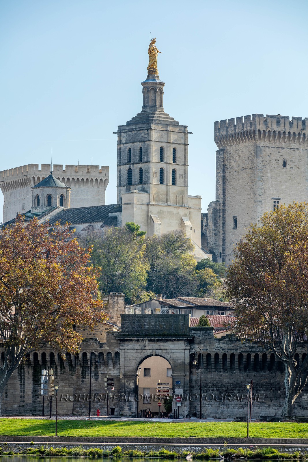 Avignon