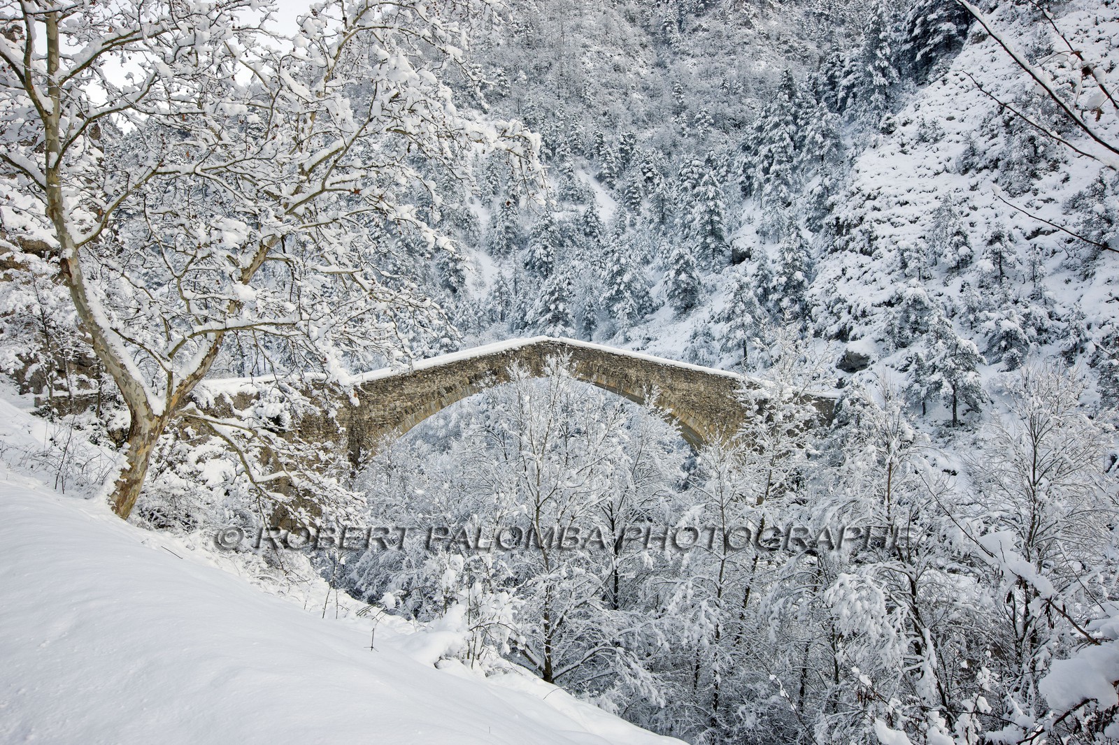 Pont de la Reine Jeanne