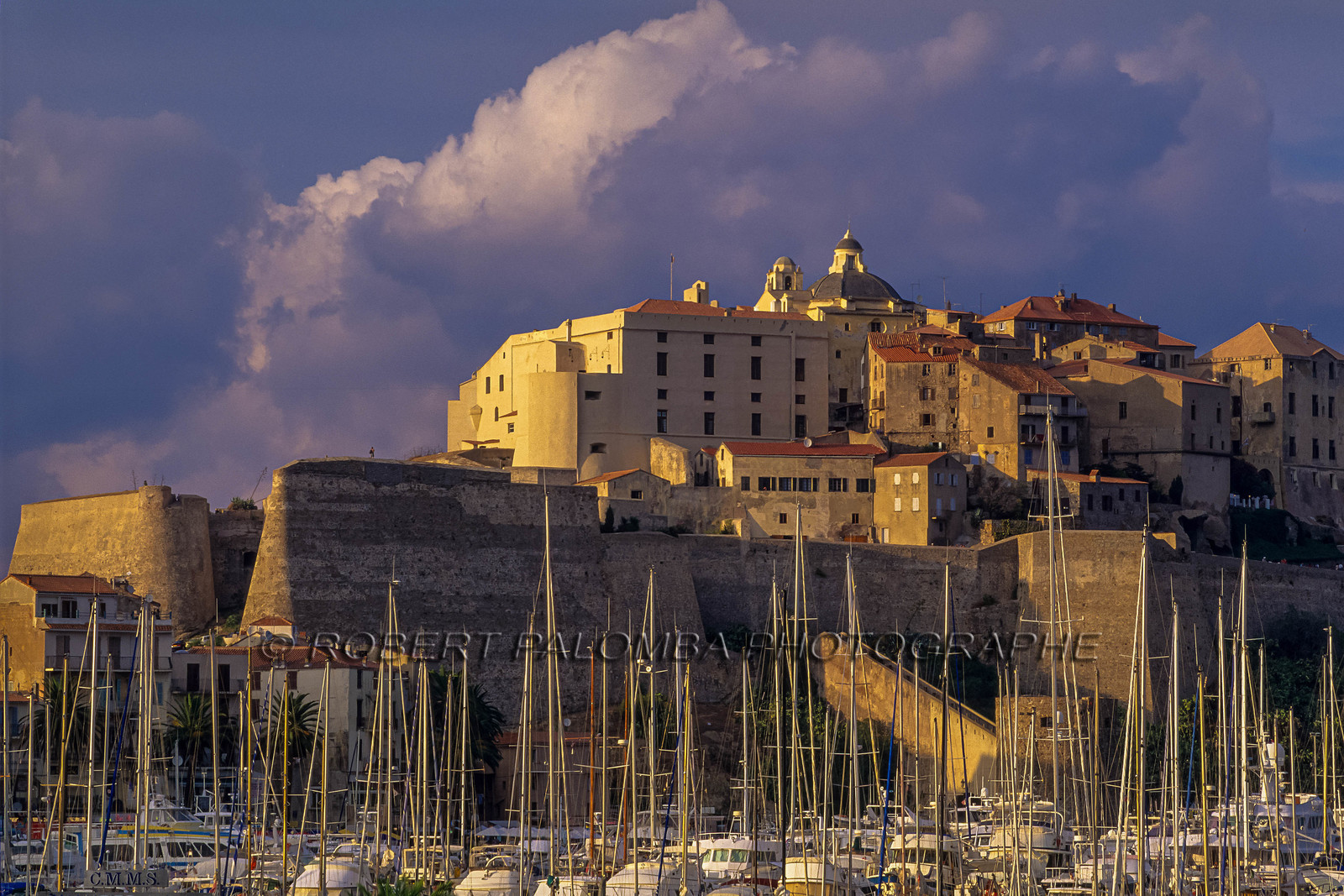 Calvi