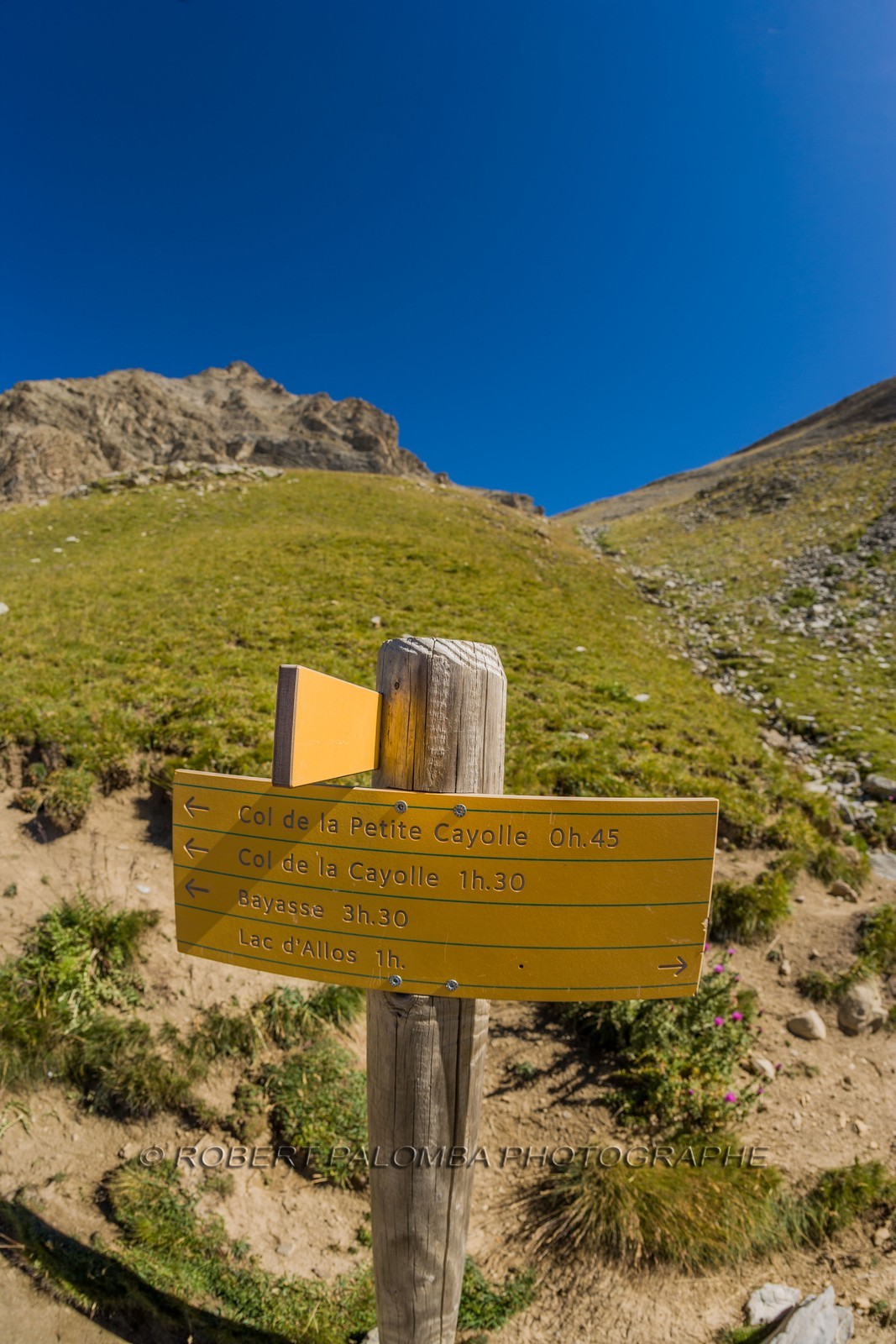 Col de la Petite Cayolle