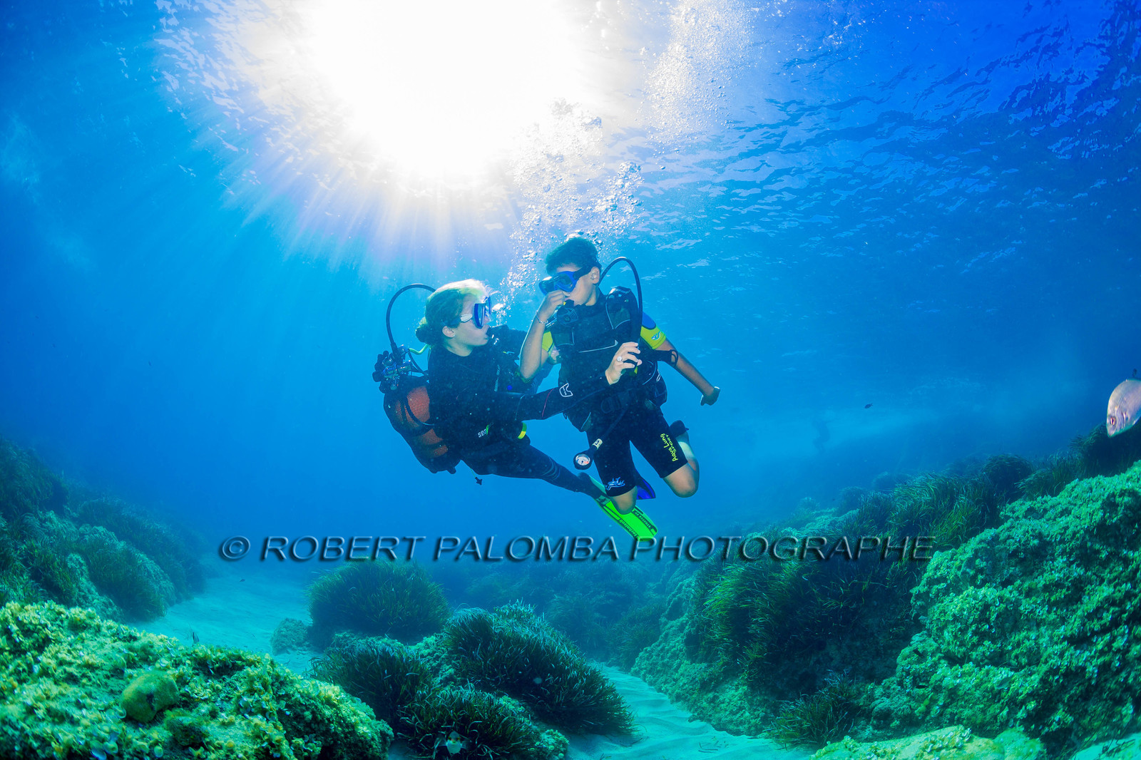 Plongée-sous-marine