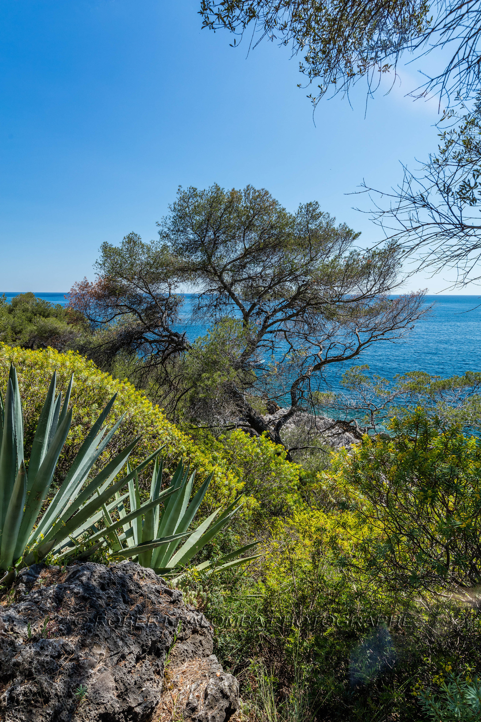 Roquebrune-Cap-Martin