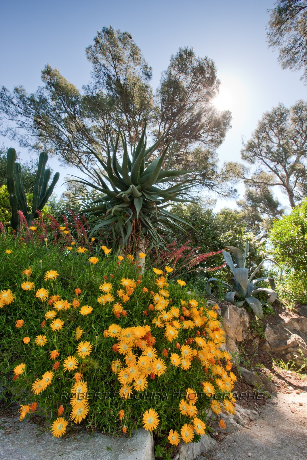 Villa et Jardins Ephrussi de Rothschild