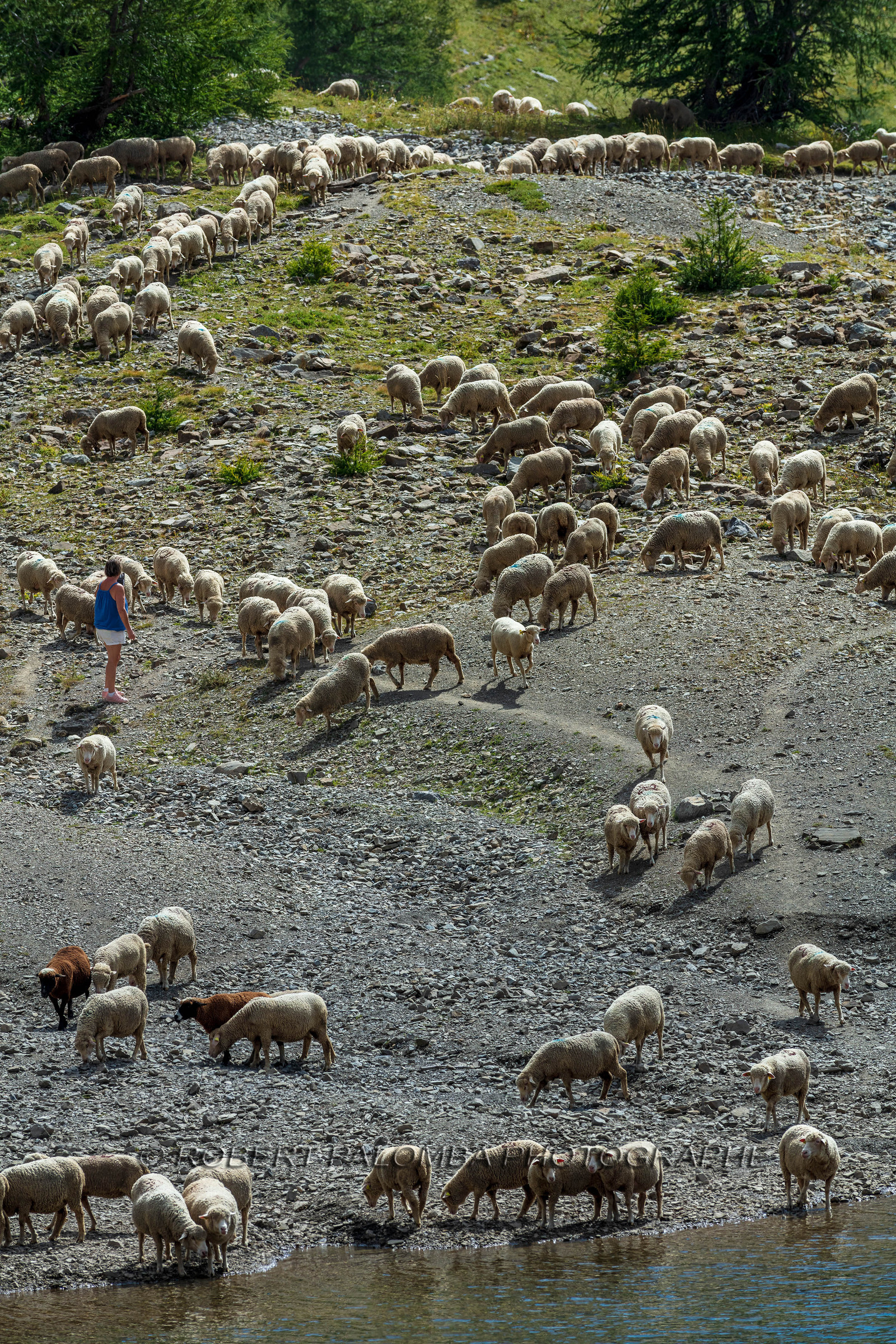 Lac d'Allos