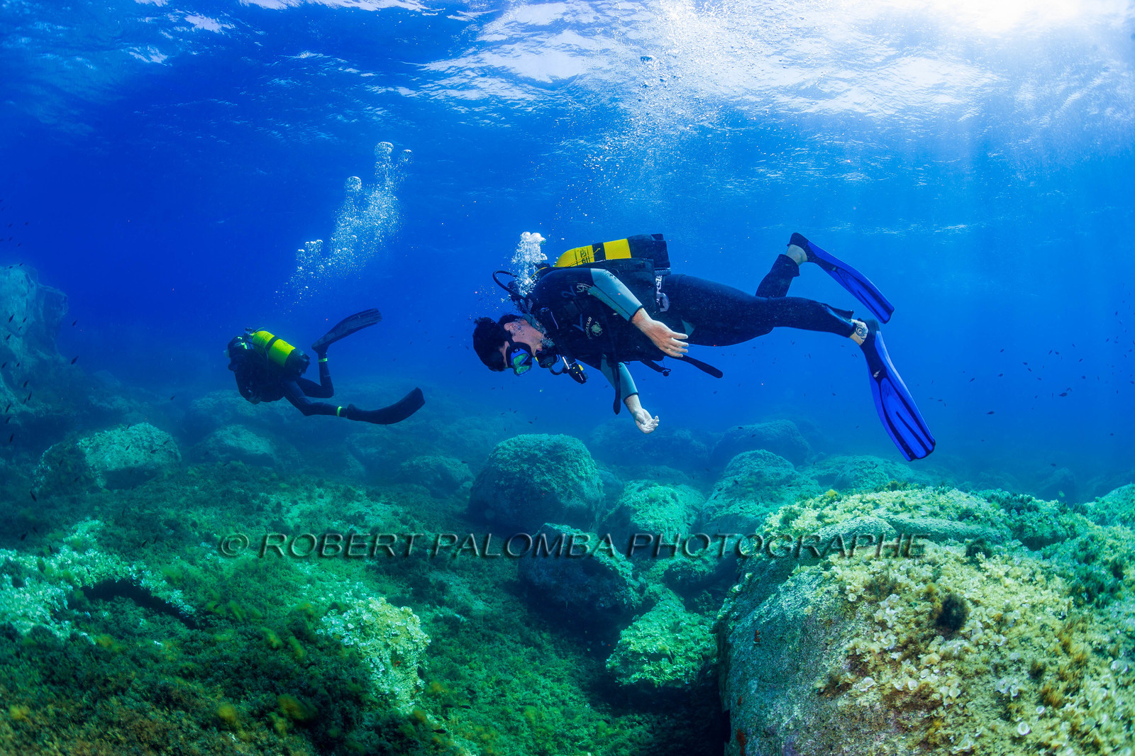 Plongée-sous-marine