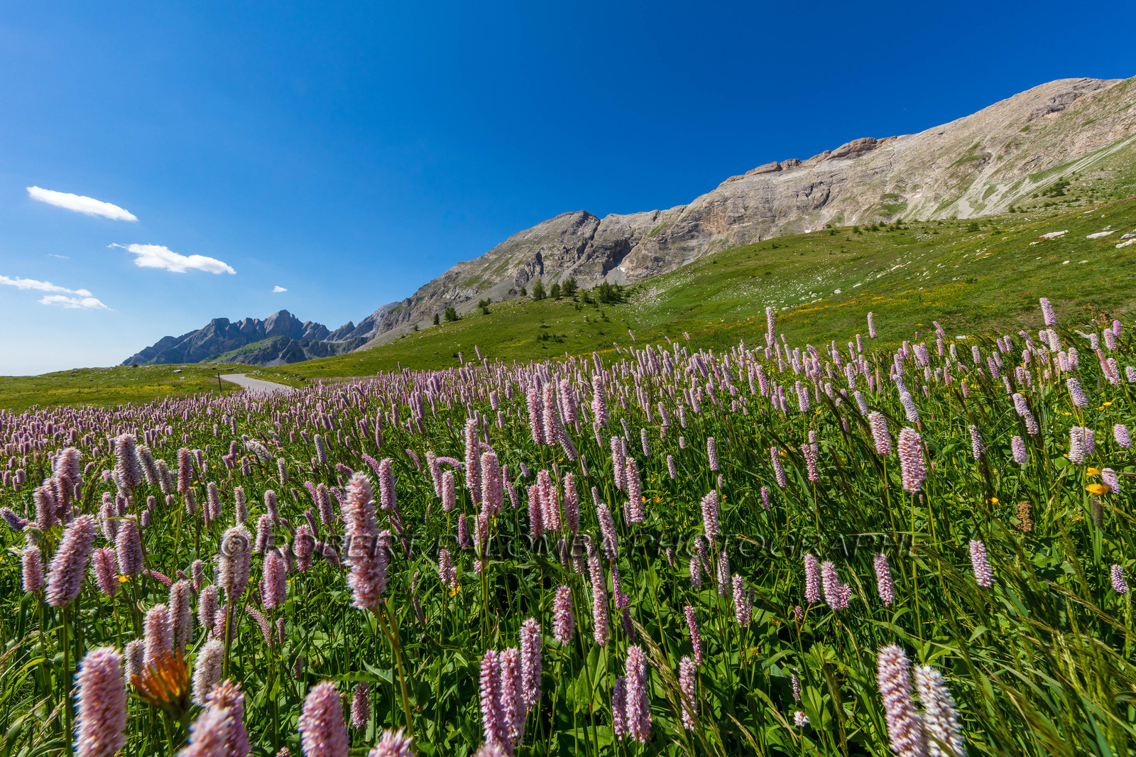 Col des Champs